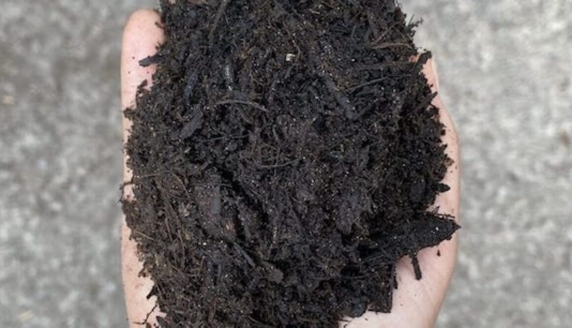 Basic-Soil-Conditioner-562x306_72
