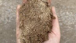 Mary River Sand Mary River Sand