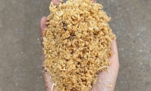 Pine-Sawdust-562x306_72