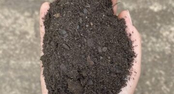 Premium-Soil-Mix-560x306_72